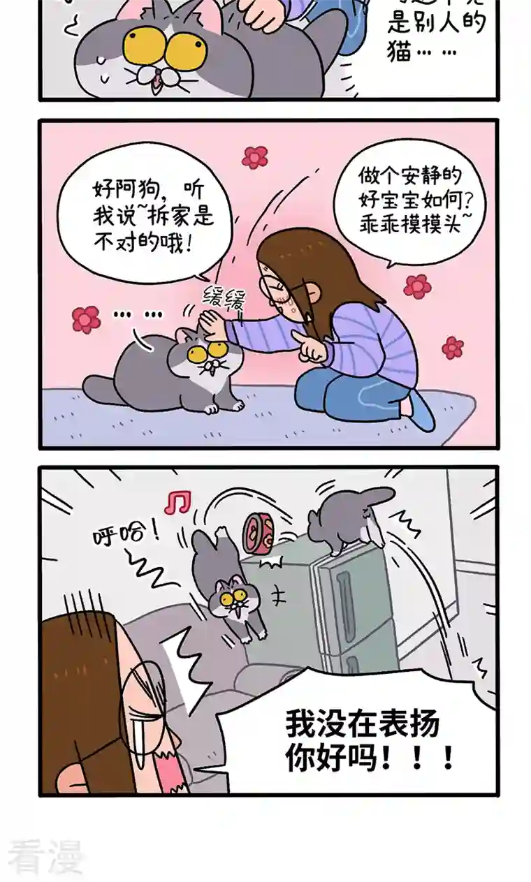 阿满和麦茶第89话2 阿狗初来乍到