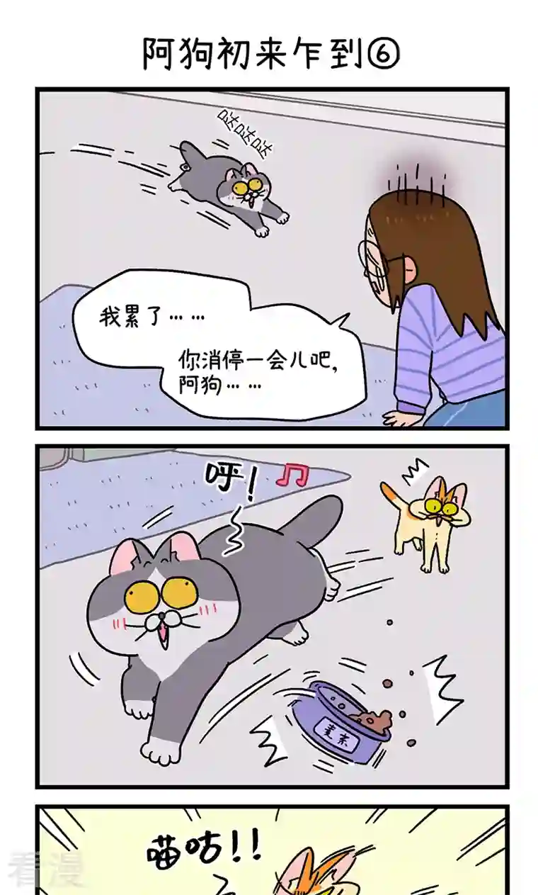 阿满和麦茶第89话2 阿狗初来乍到