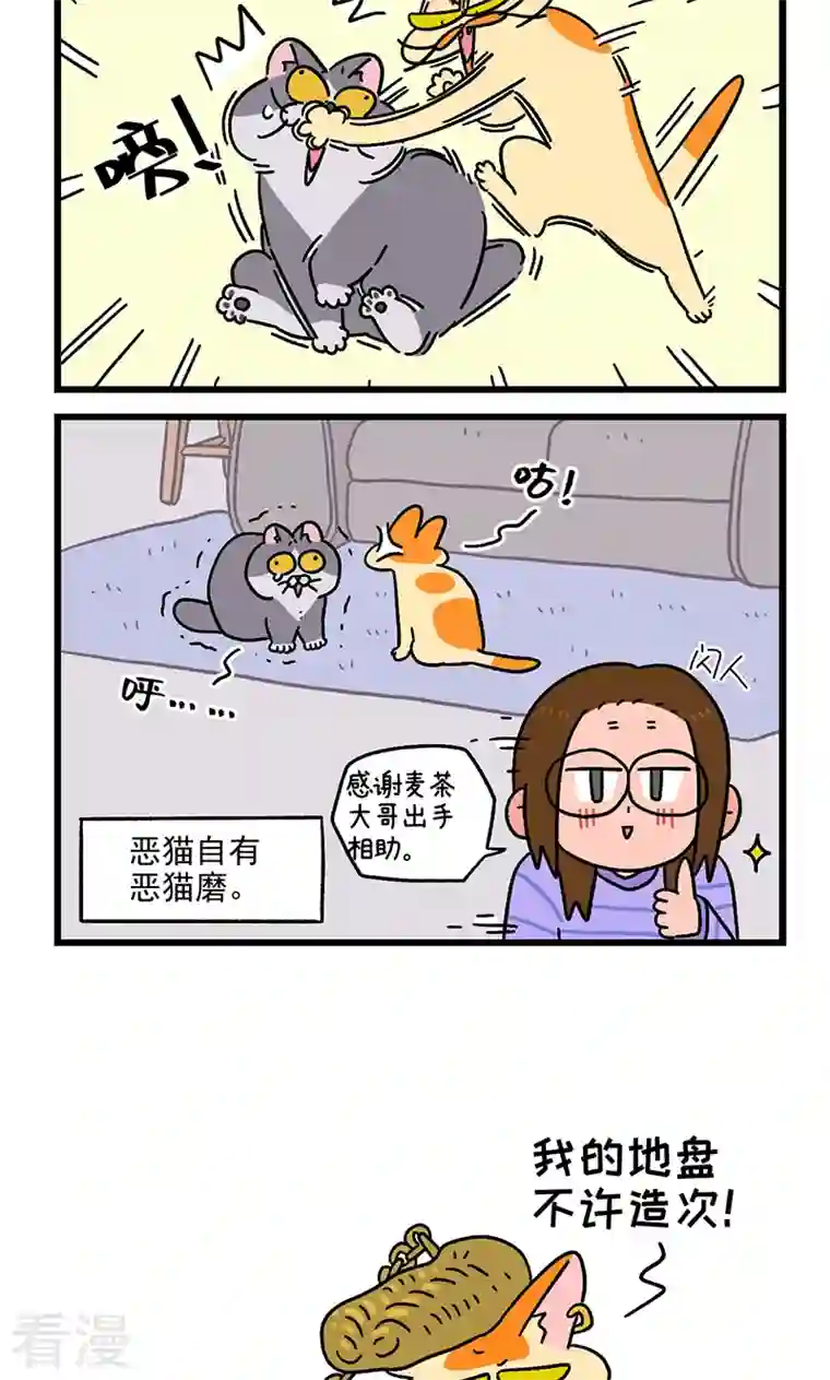 阿满和麦茶第89话2 阿狗初来乍到