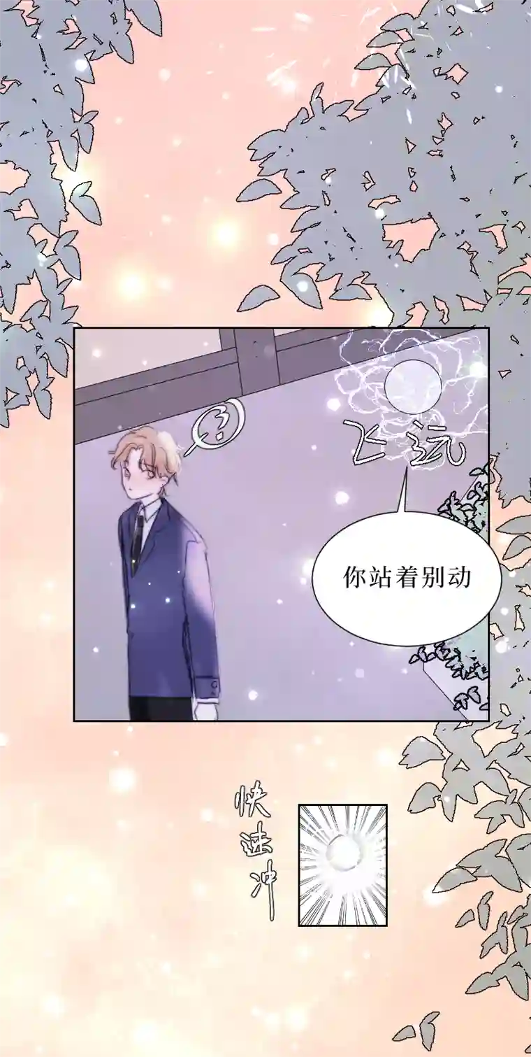 穿越遇上重生疯狗与疑端十