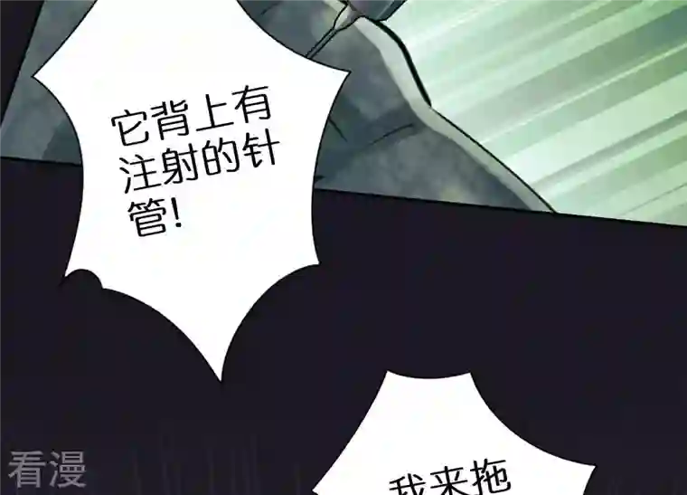 最豪赘婿 龙王殿第224话 敌人还是恩人？