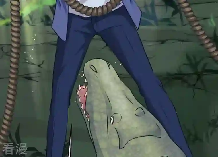 最豪赘婿 龙王殿第224话 敌人还是恩人？