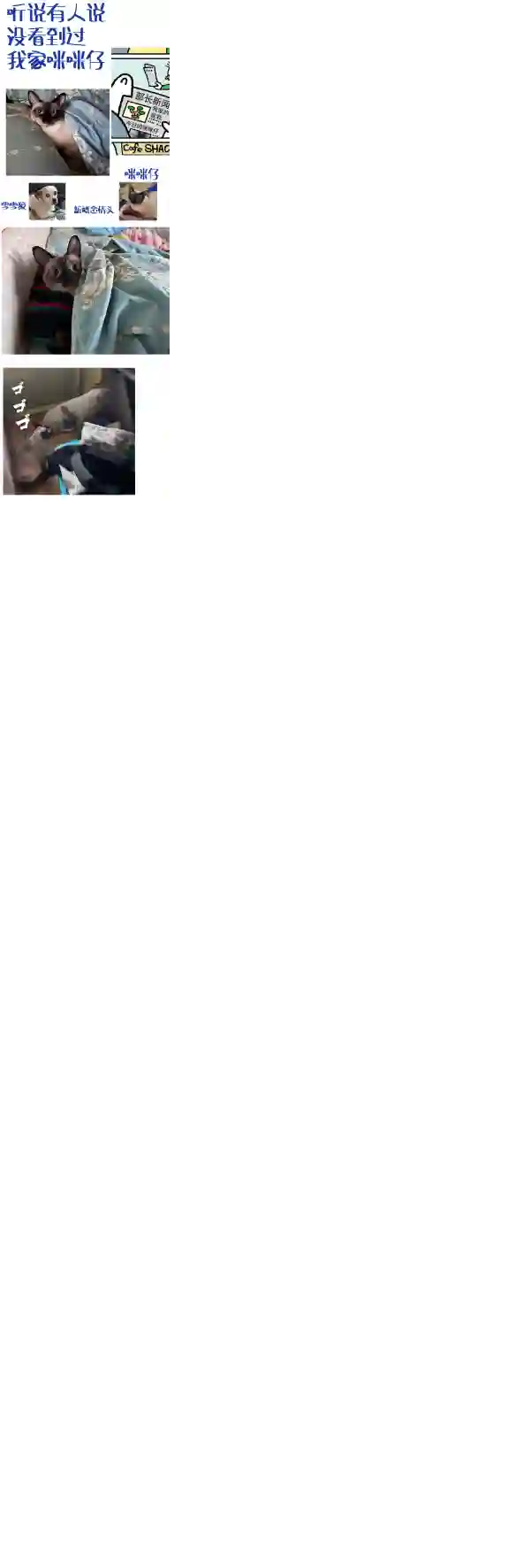 管钱的神仙和穷逼上班族第286-290话