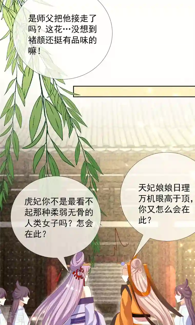 妖王的后妃都是我的第12话 庆典要开始了？