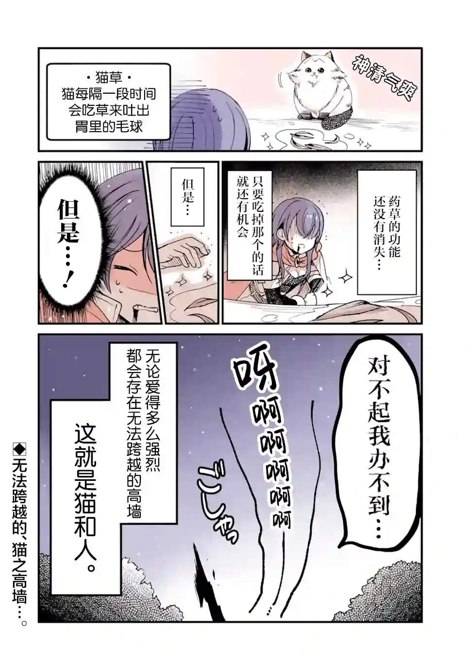 转生猫猫第13话