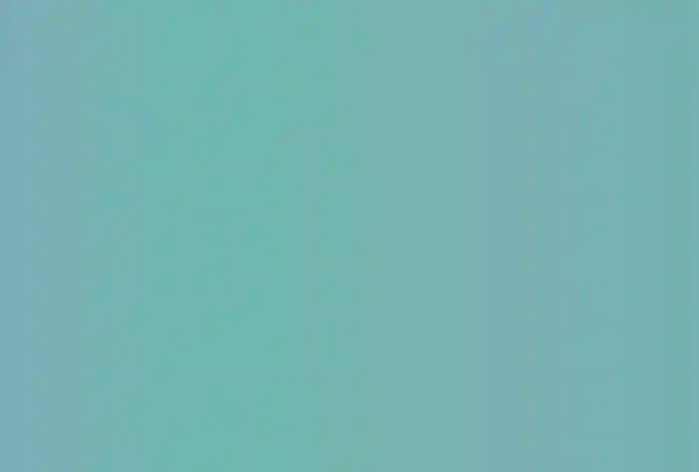 箱庭之主与最后的魔女第01话