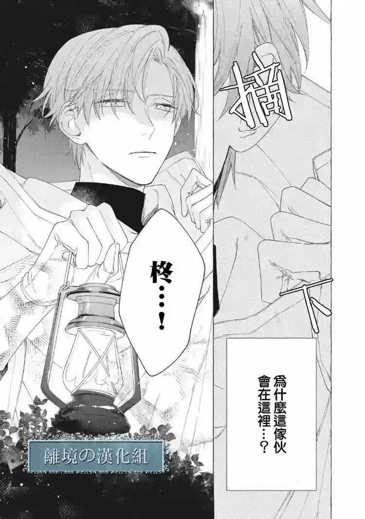 箱庭之主与最后的魔女第09话
