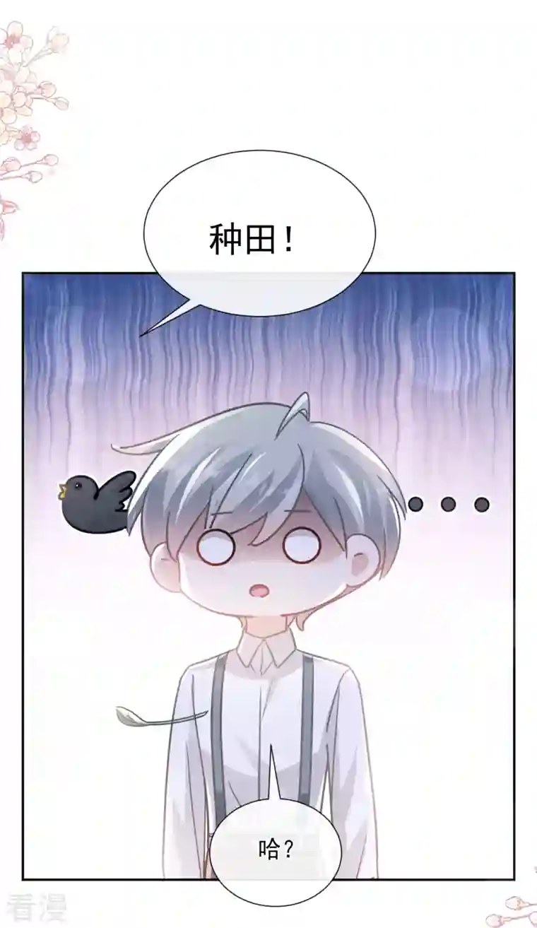 霸道总裁轻轻爱第251话 钞能力
