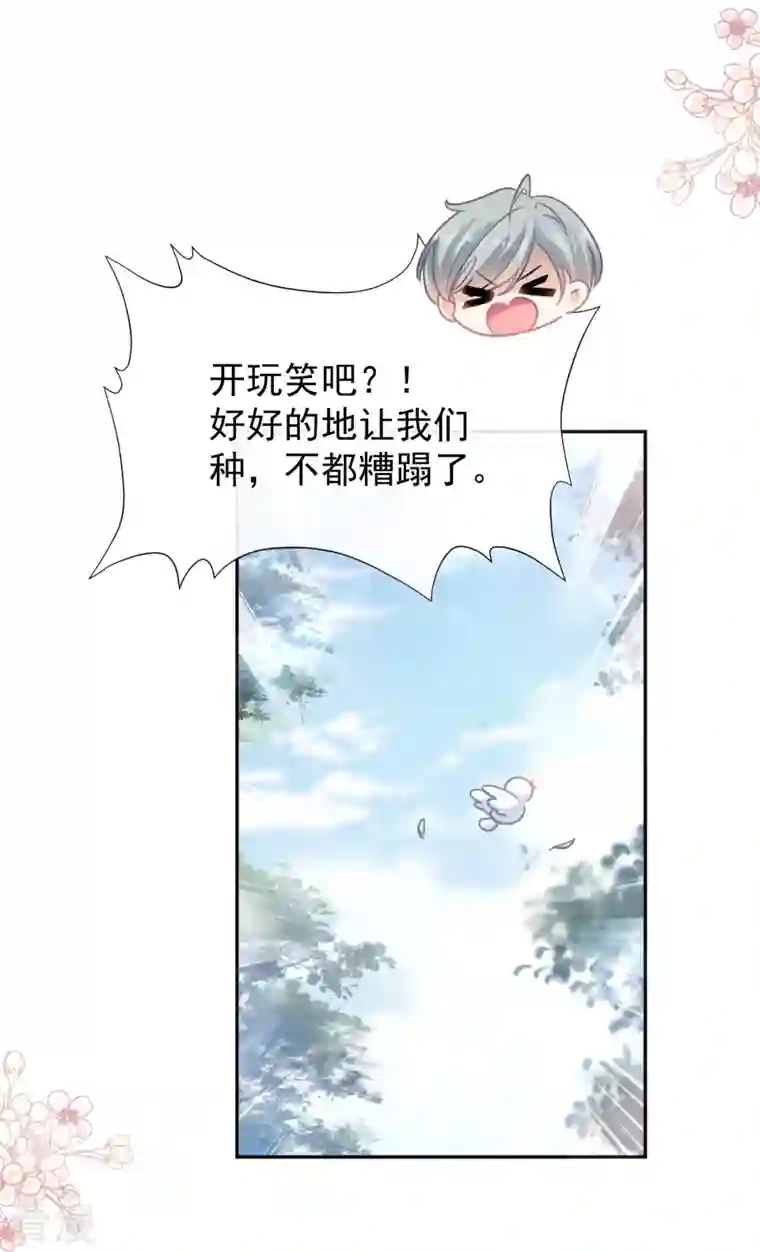 霸道总裁轻轻爱第251话 钞能力