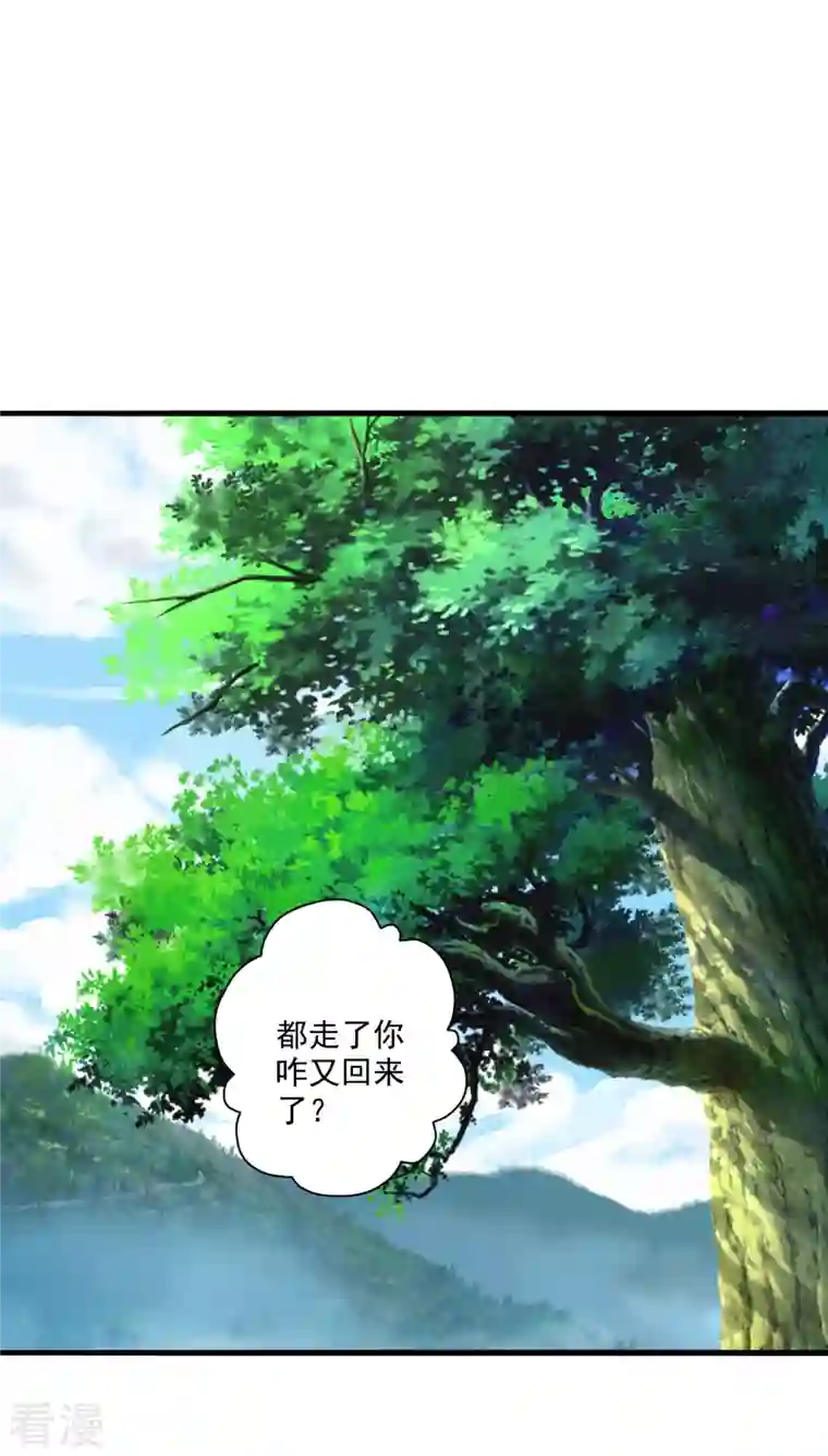 仙武帝尊第316话 选择！