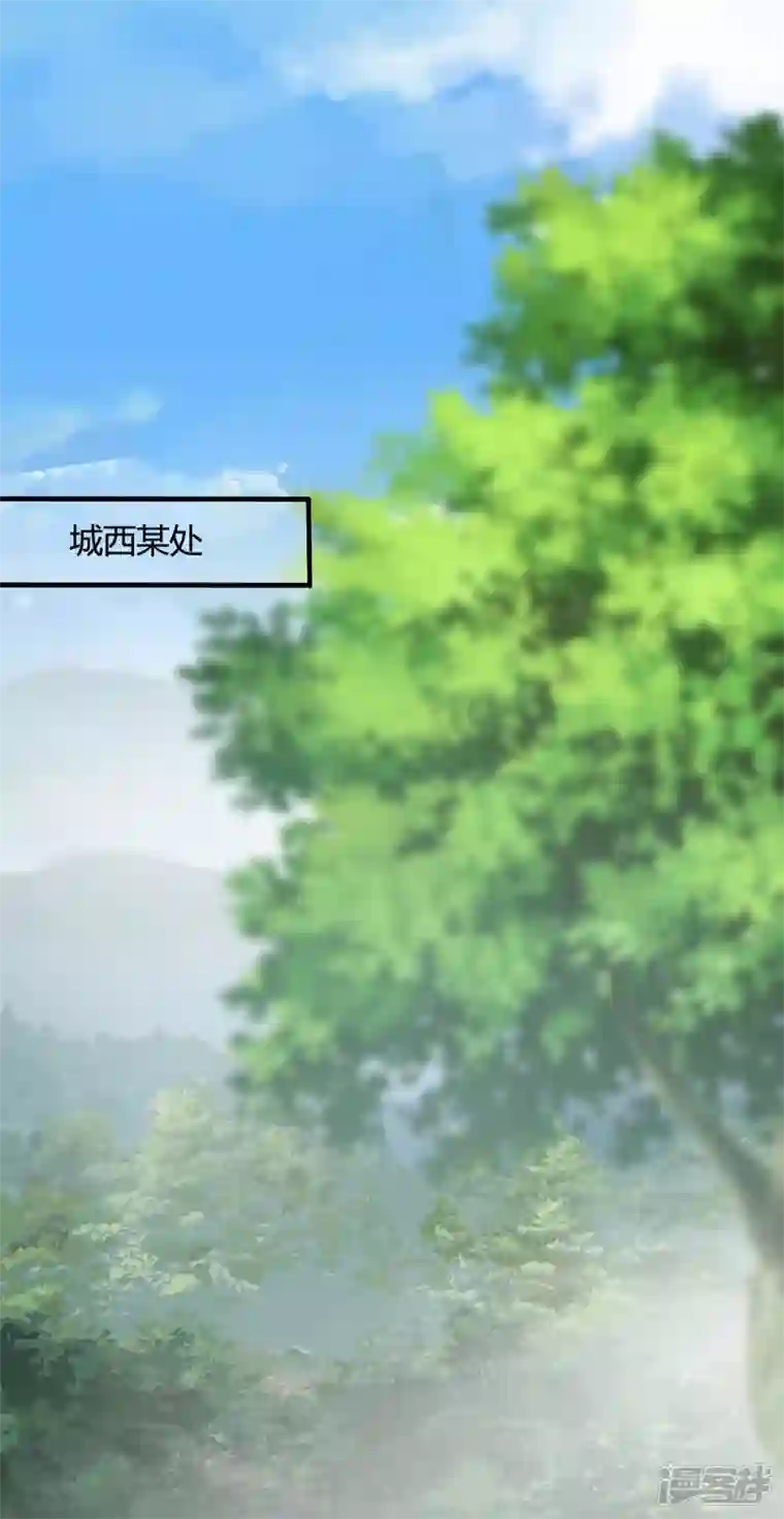 农家娘子有喜了第144话 半夏出手，母子平安
