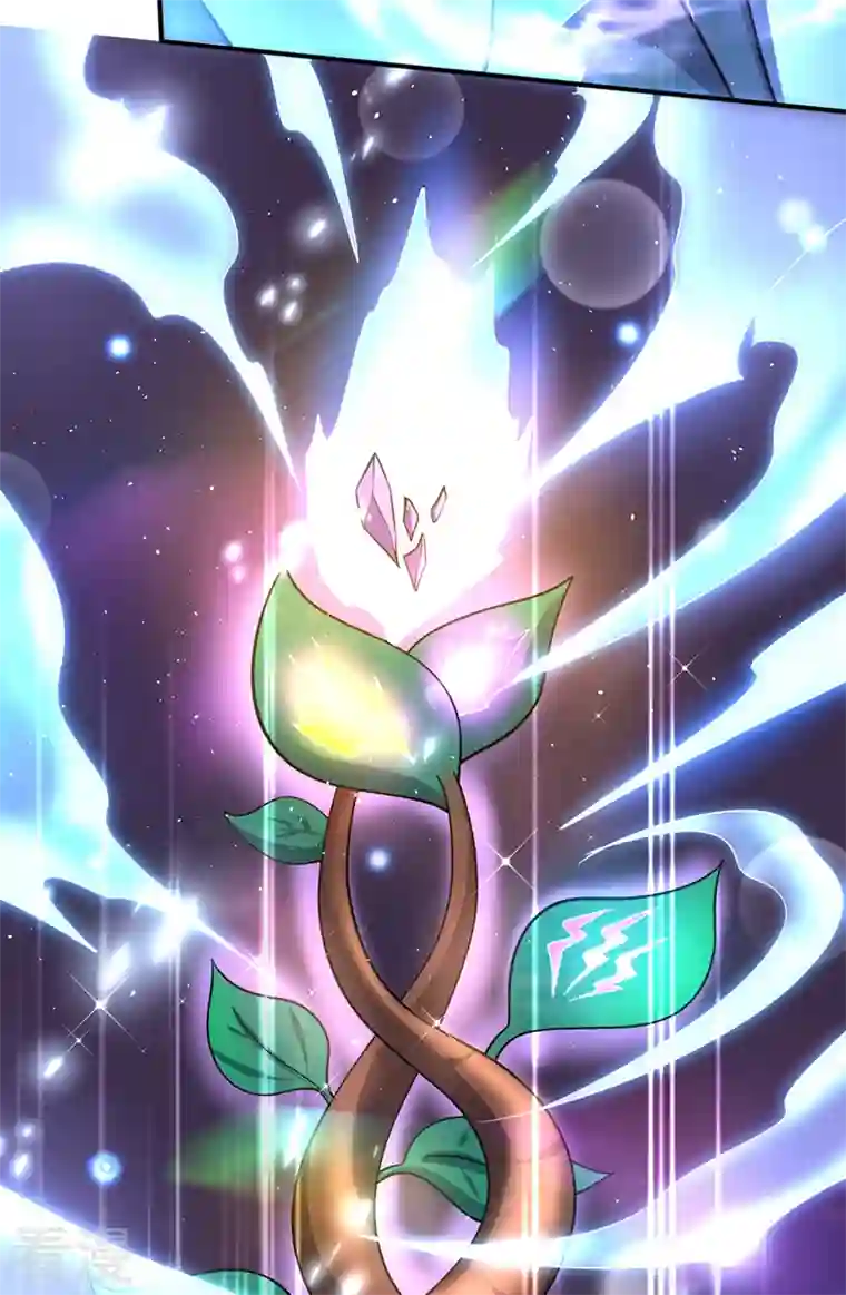 最强神医混都市第284话 你们到此为止了！