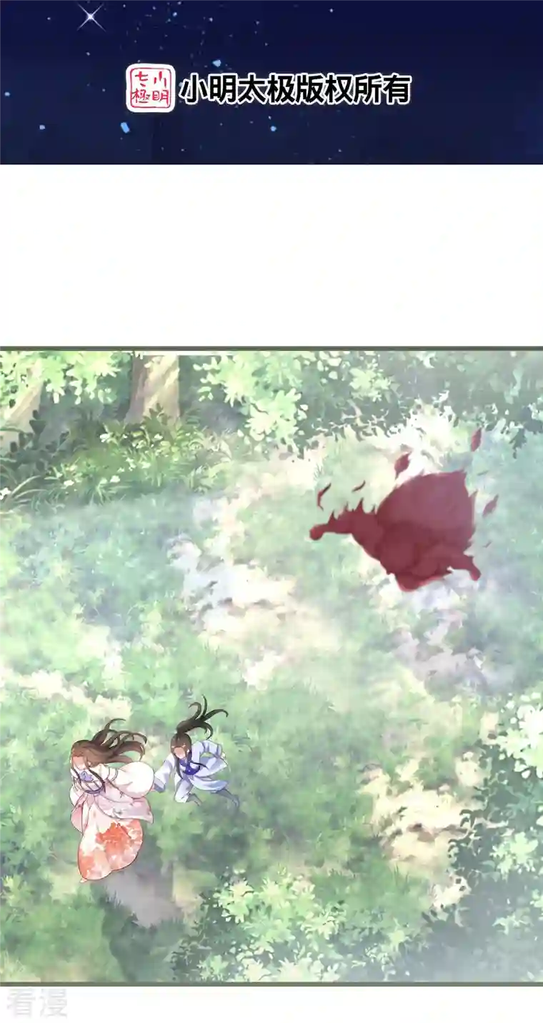 逆天毒妃第294话 心魔