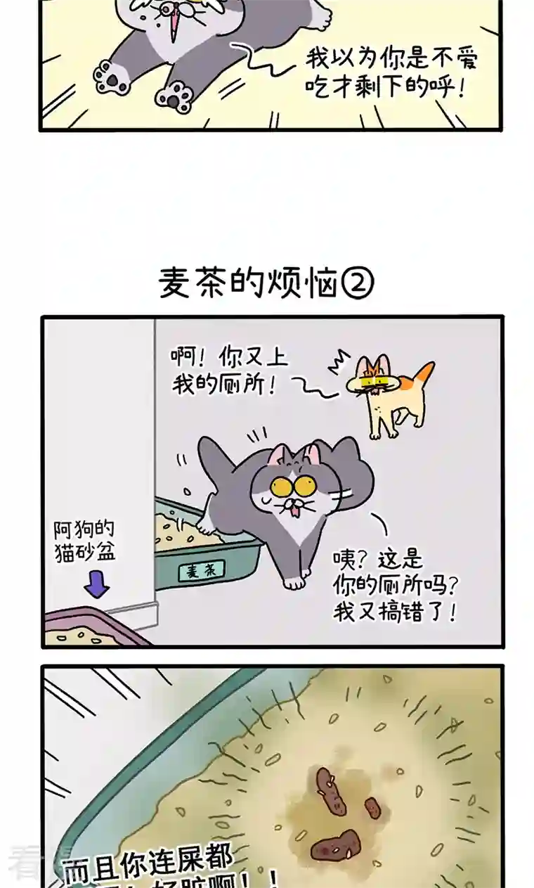 阿满和麦茶第91话 麦茶的烦恼