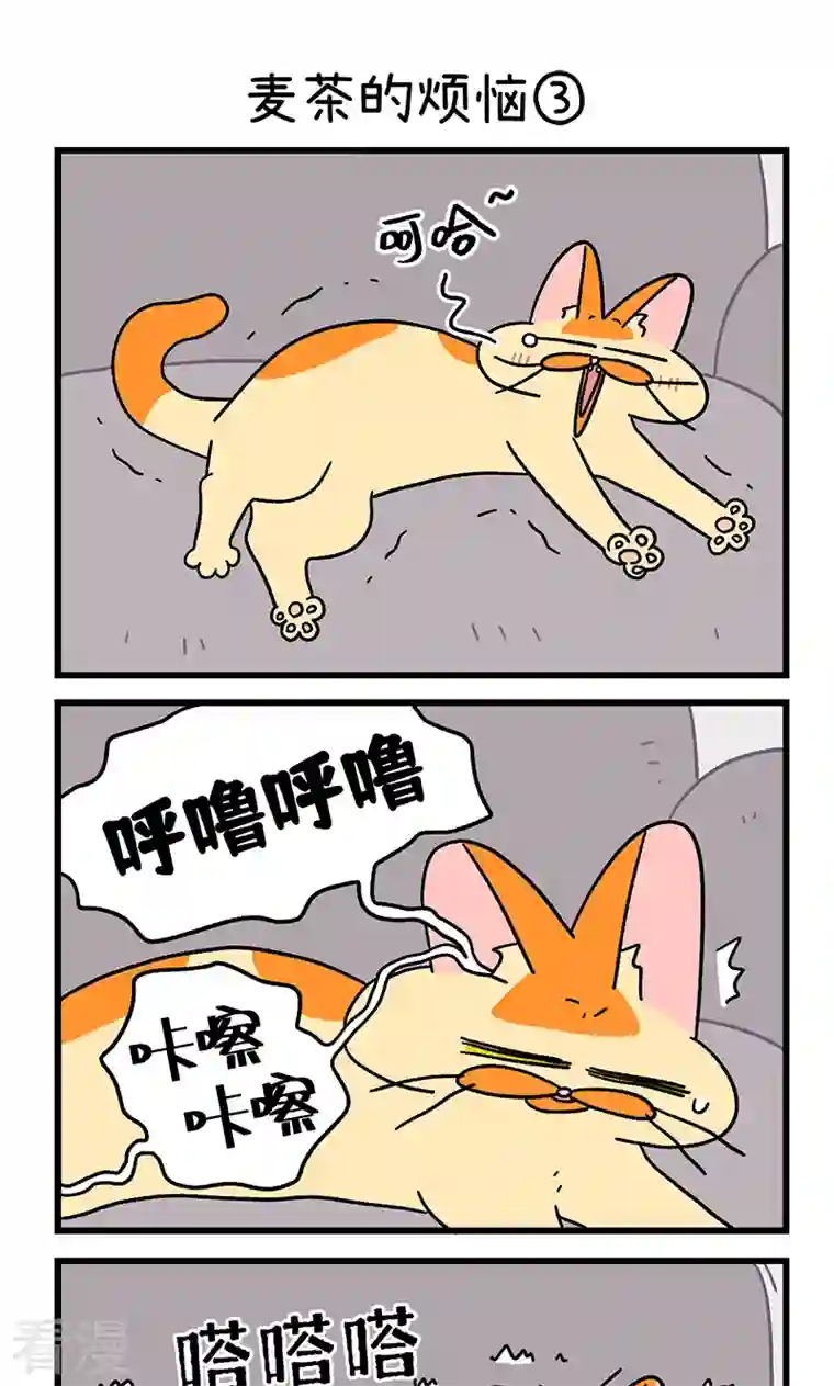 阿满和麦茶第91话 麦茶的烦恼