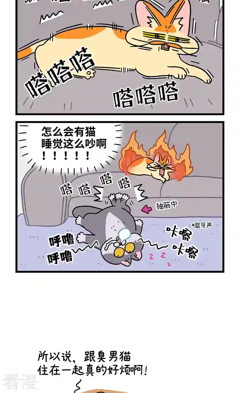 阿满和麦茶第91话 麦茶的烦恼