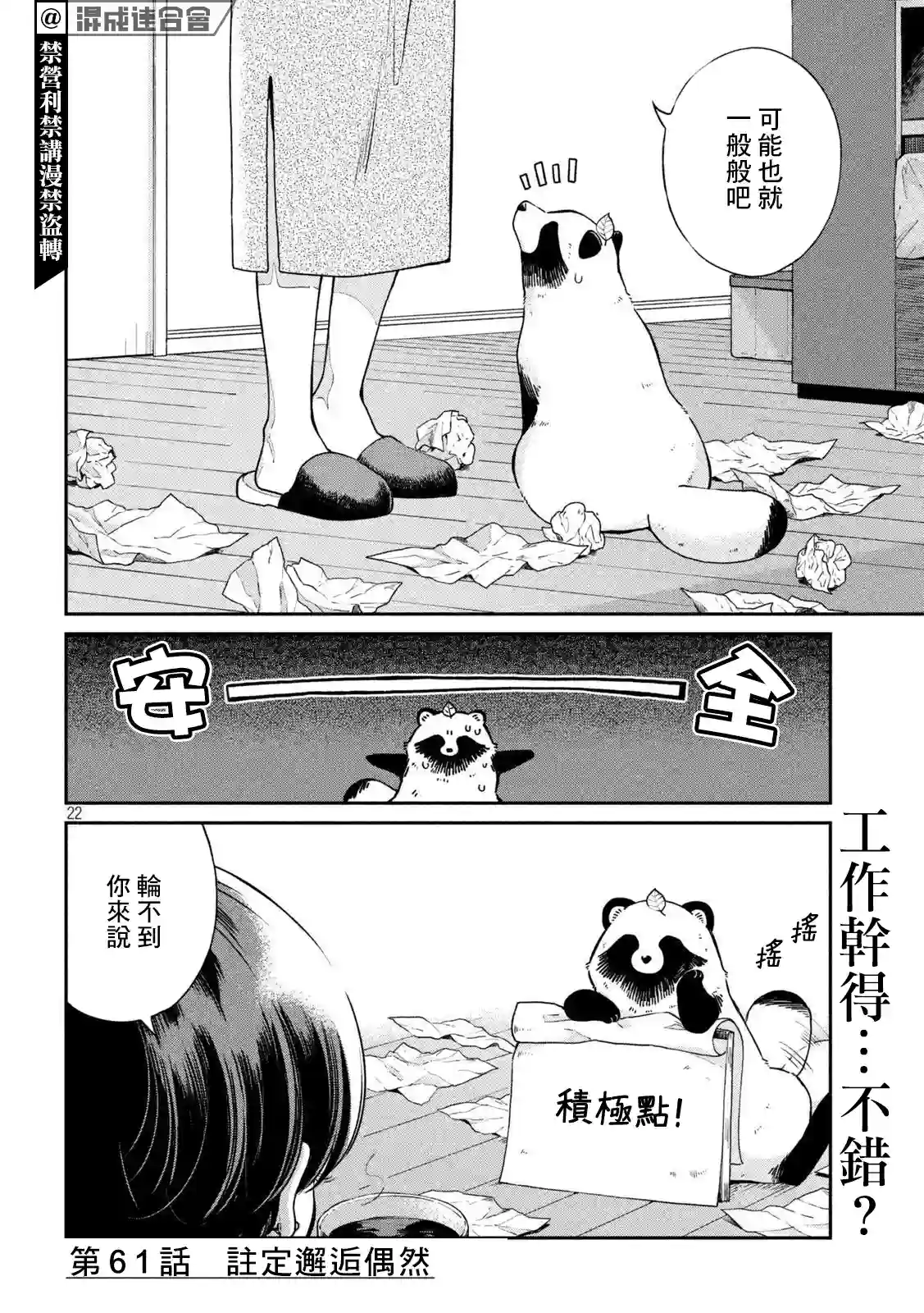 邂逅雨中貉第61话