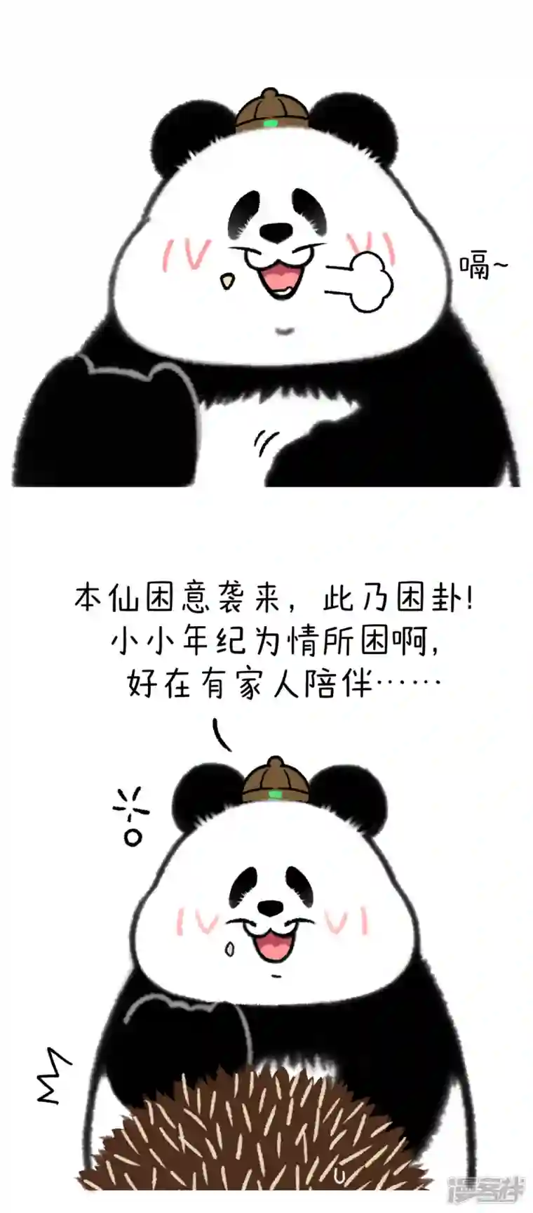 快把动物放进冰箱328问世间情为何物，直叫人“下楼做核酸”~