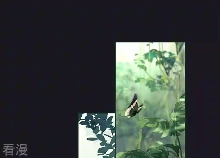 最豪赘婿 龙王殿第227话 丢弃的玩具而已