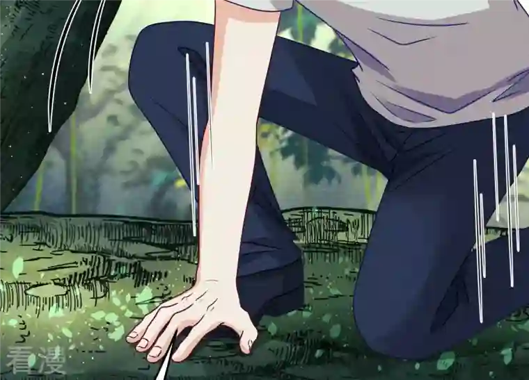 最豪赘婿 龙王殿第227话 丢弃的玩具而已