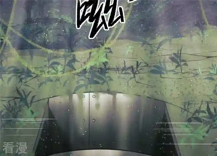 最豪赘婿 龙王殿第227话 丢弃的玩具而已