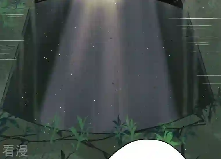 最豪赘婿 龙王殿第227话 丢弃的玩具而已