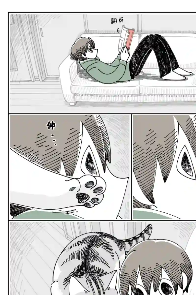 关于养猫我一直是新手第117话