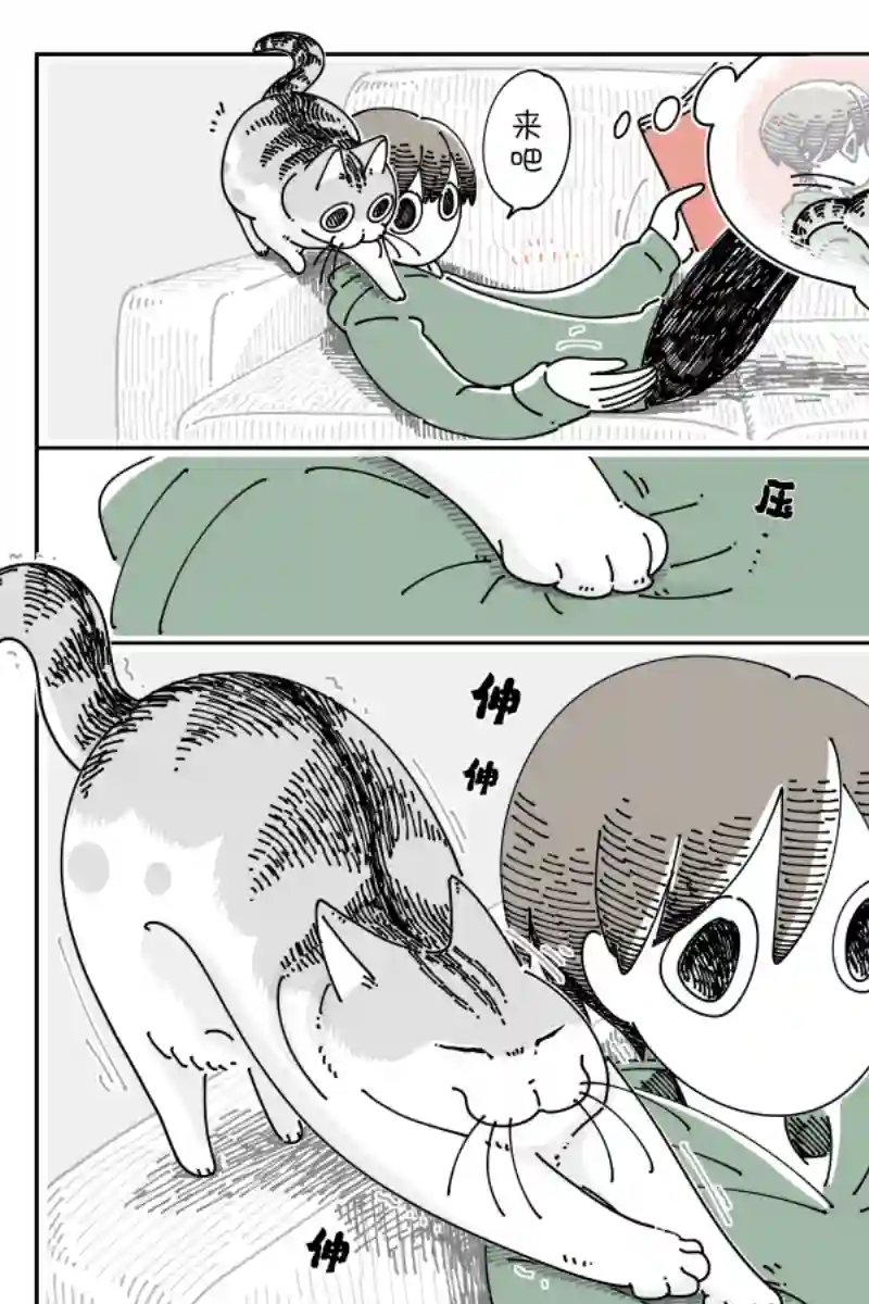 关于养猫我一直是新手第117话
