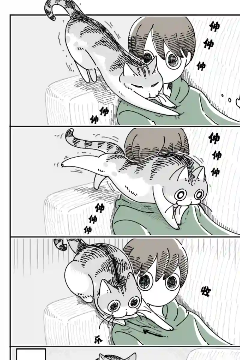 关于养猫我一直是新手第117话