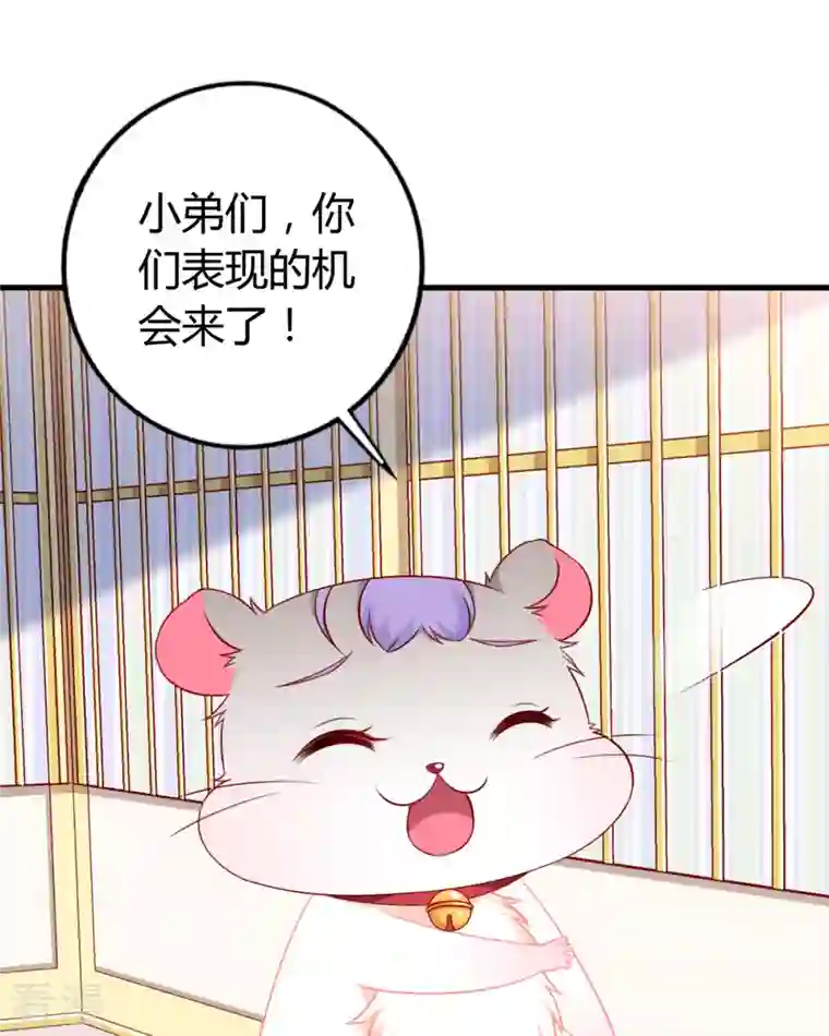 走开，别吸我！第8话 谁的裤腰带