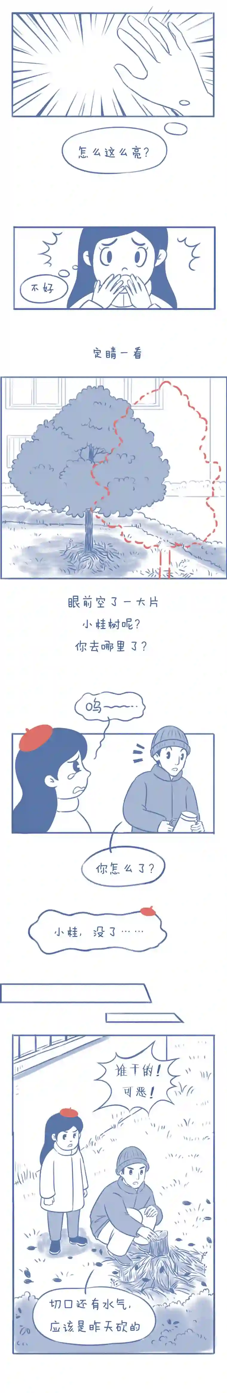 未来总会有惊喜08桂花树