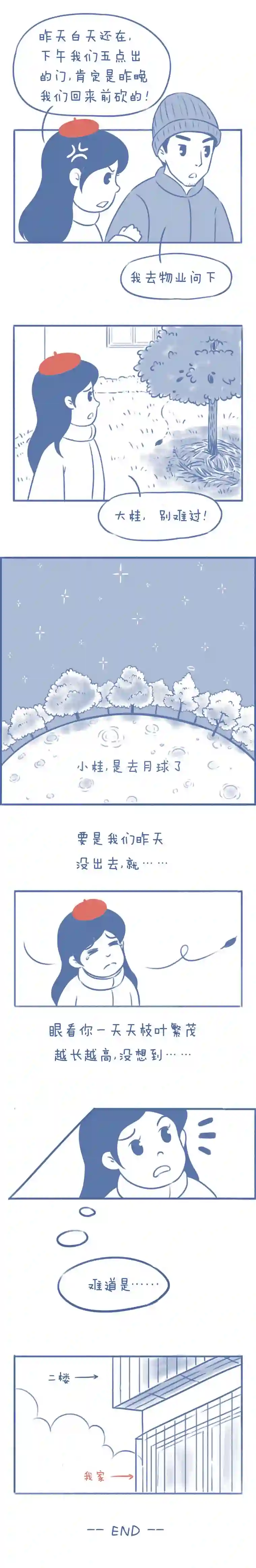 未来总会有惊喜08桂花树
