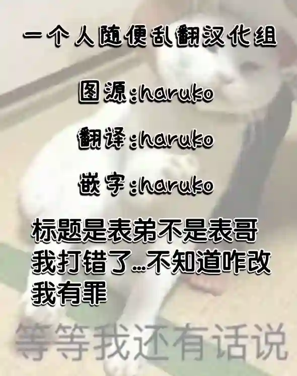 鲁别利亚王国物语~我陷入了被迫给表哥善后的境地~第03话