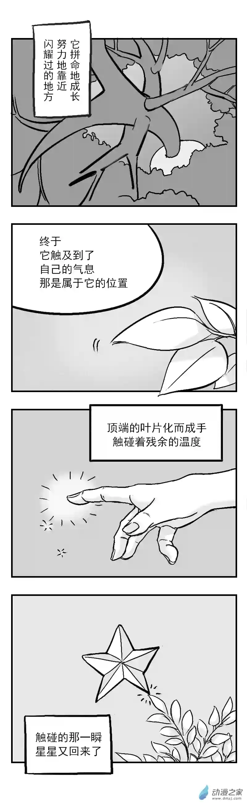 凌晨夜空第01话·星星坠落