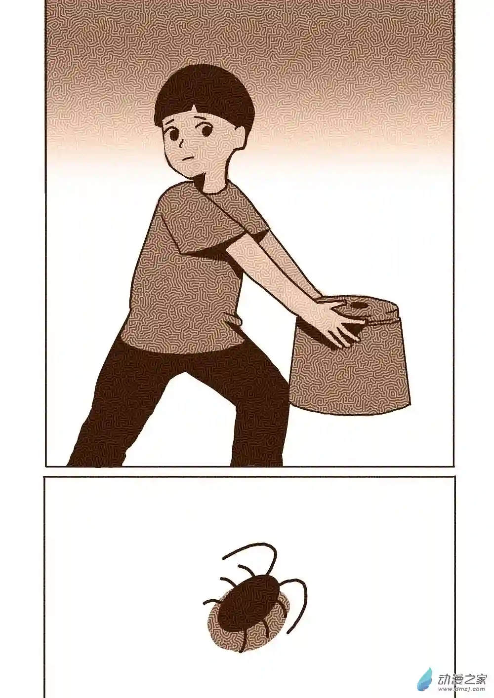 蟑螂蟑螂