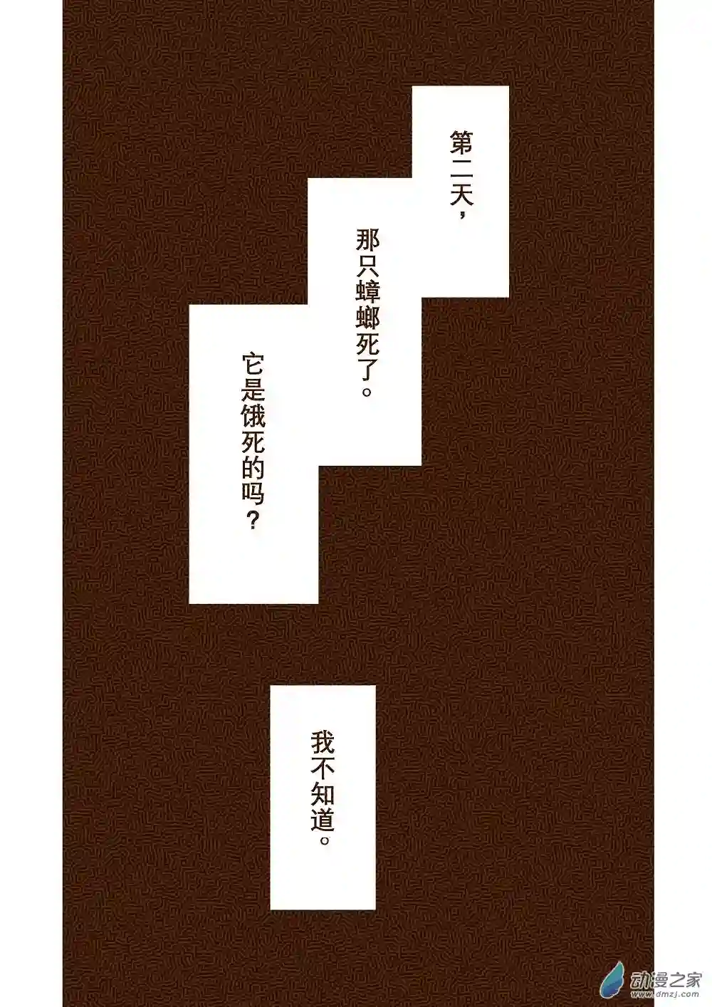 蟑螂蟑螂