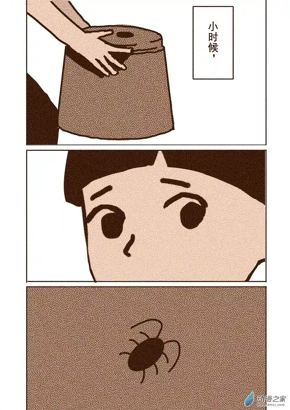 蟑螂蟑螂