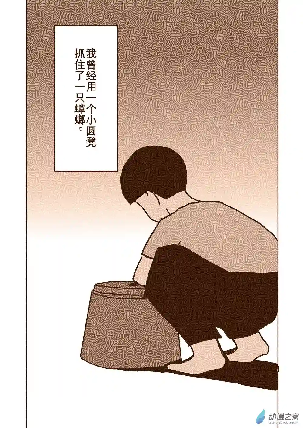 蟑螂蟑螂