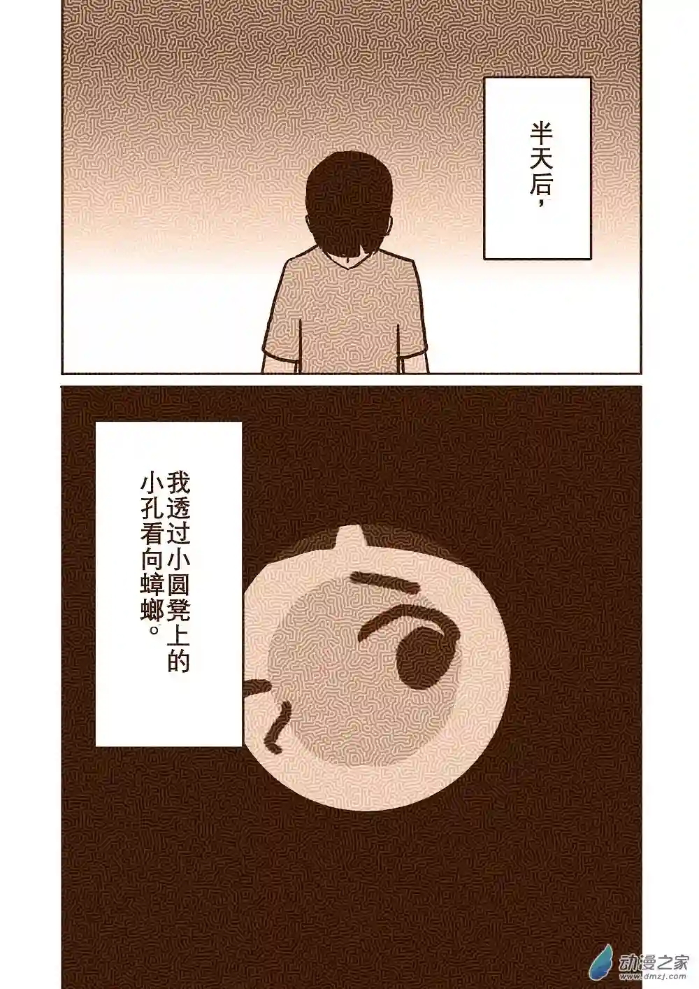 蟑螂蟑螂