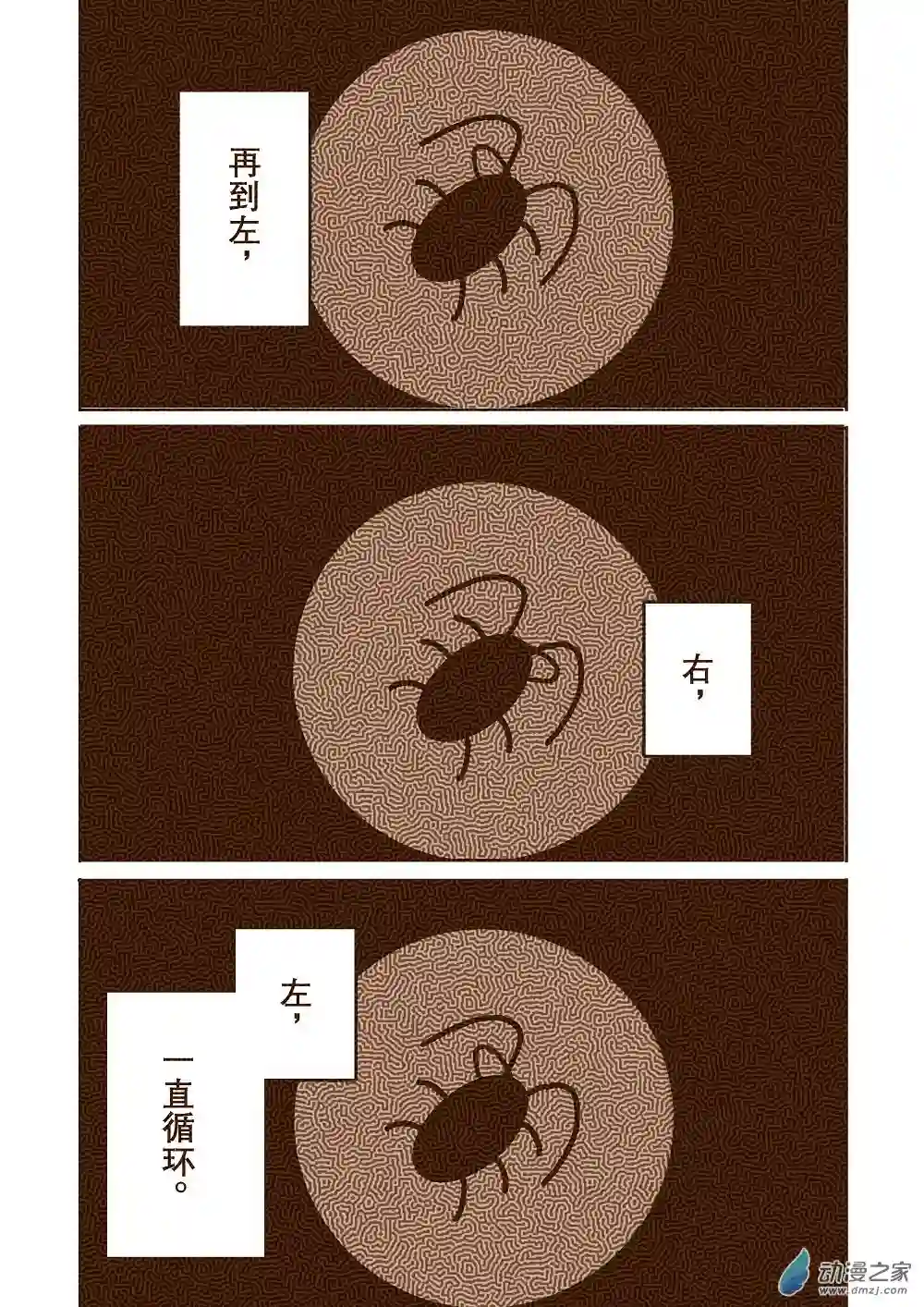 蟑螂蟑螂