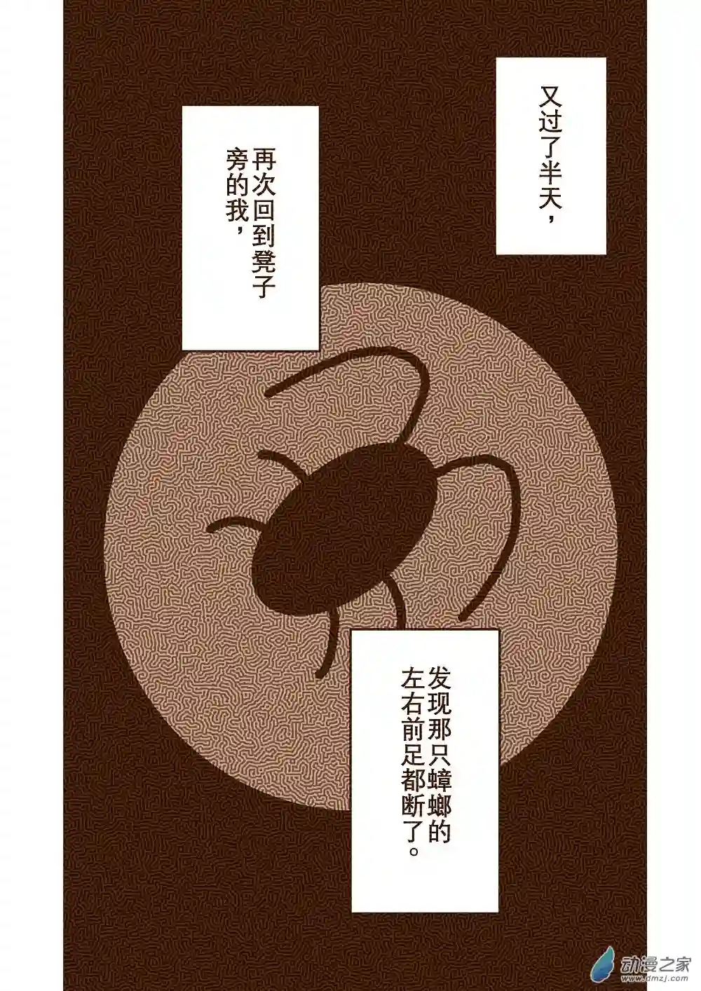 蟑螂蟑螂
