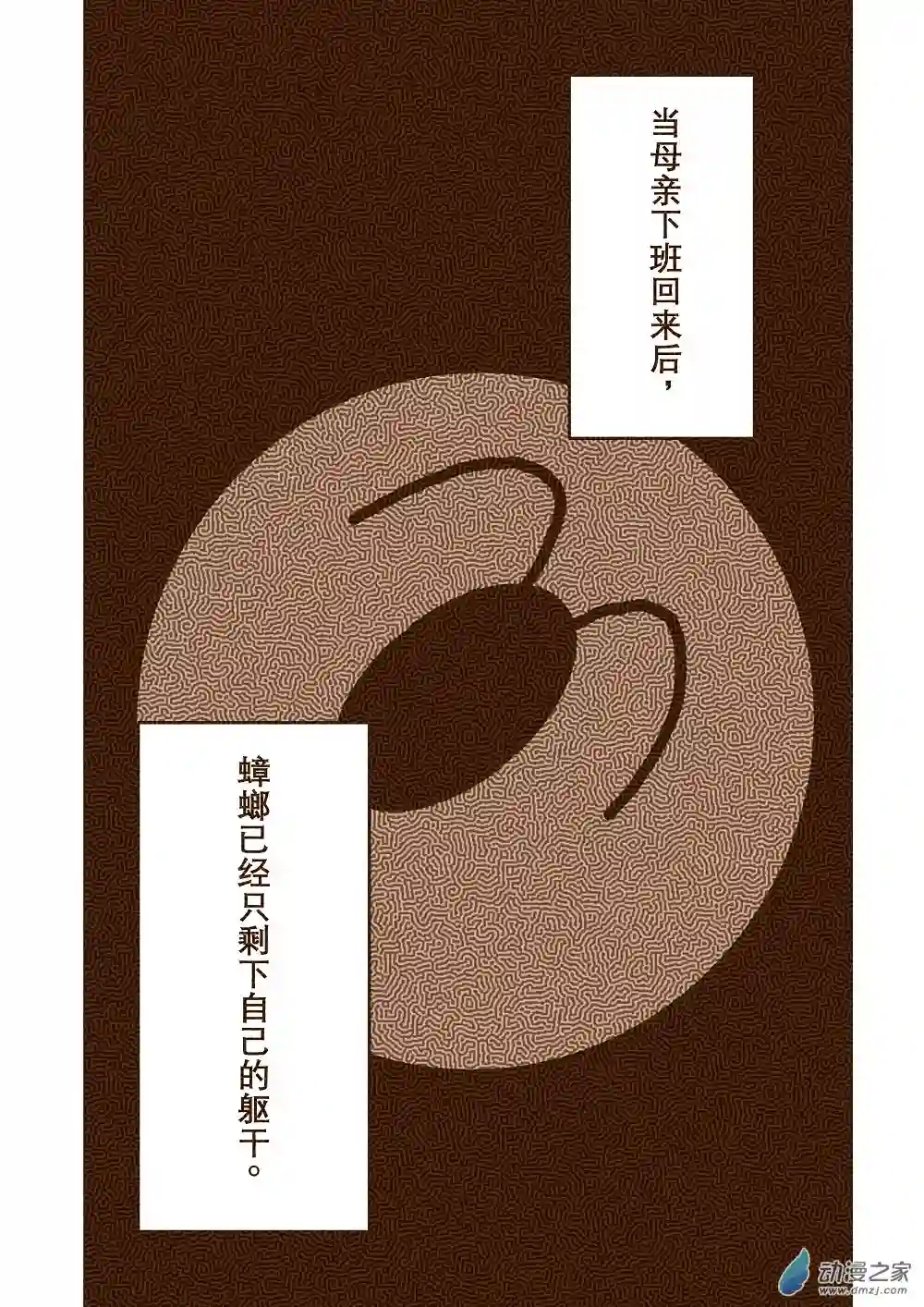 蟑螂蟑螂