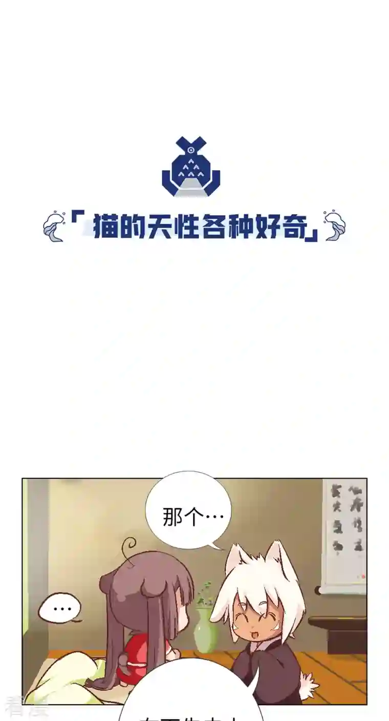 猫之茗第1话 猫娘茉莉的糟糕穿越