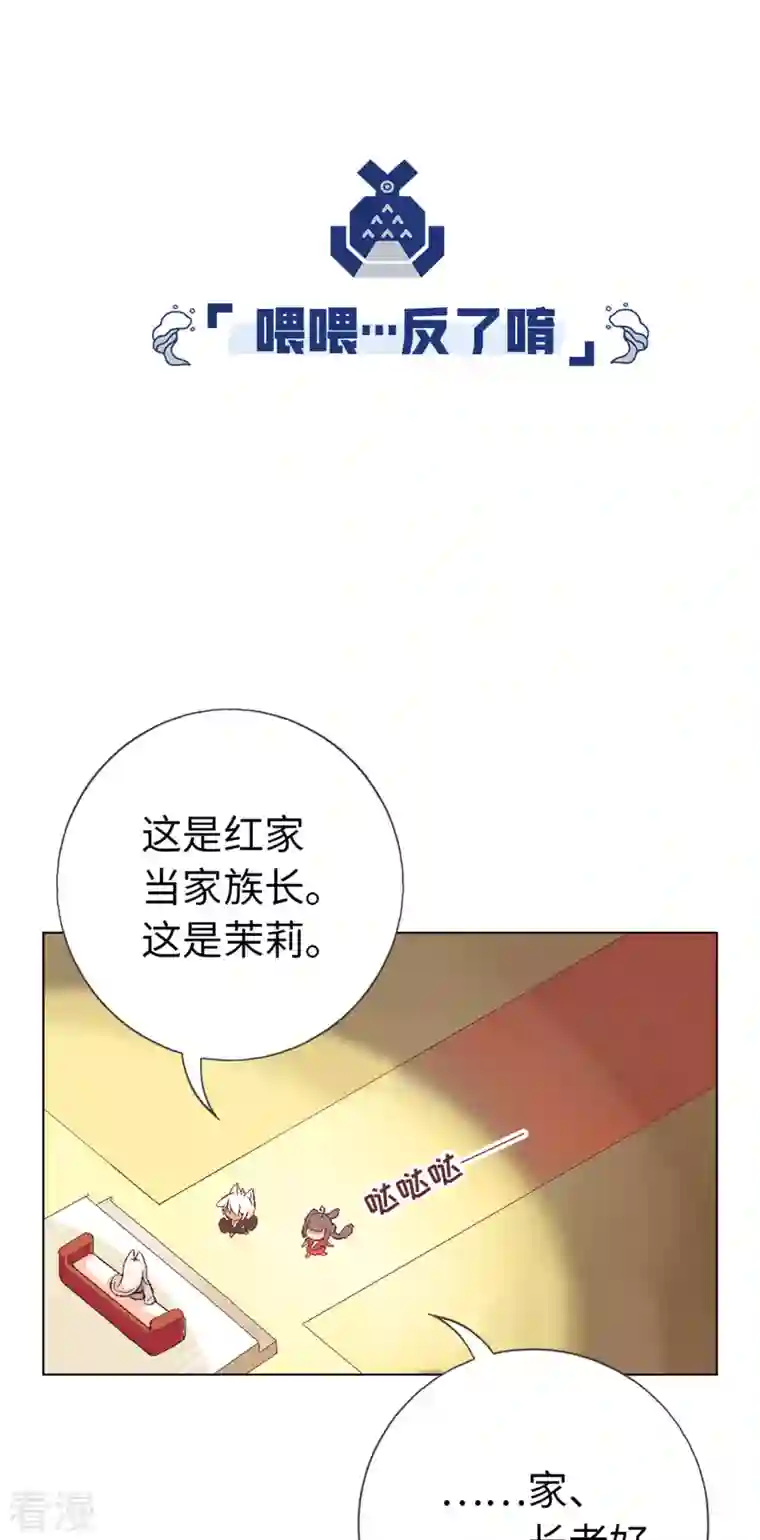 猫之茗第1话 猫娘茉莉的糟糕穿越