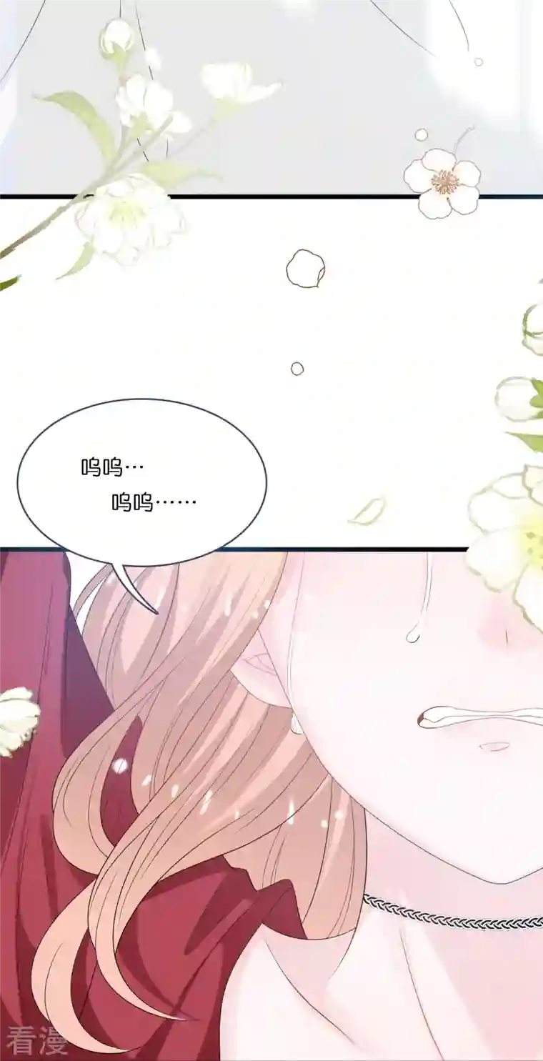 总裁爹地追上门第197话 被绑架的小男孩