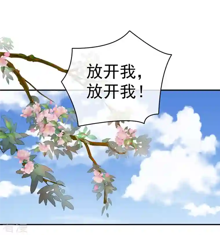 女帝的后宫第337话 心疼