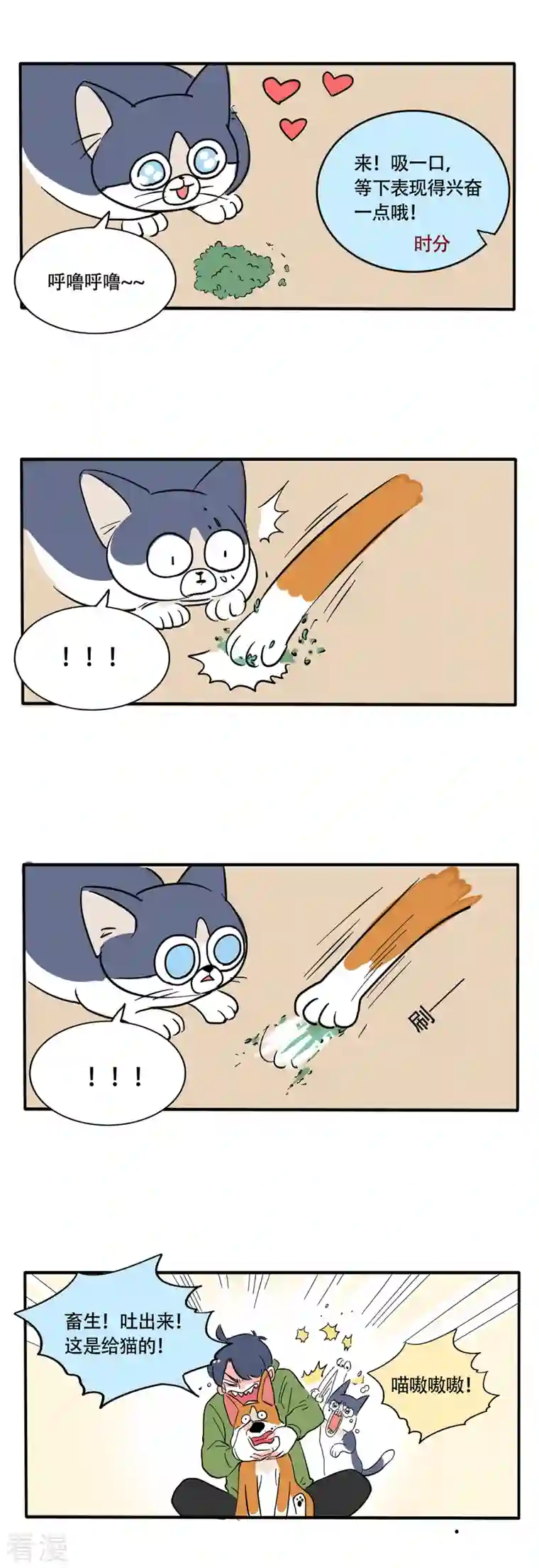 快把我哥带走第248话