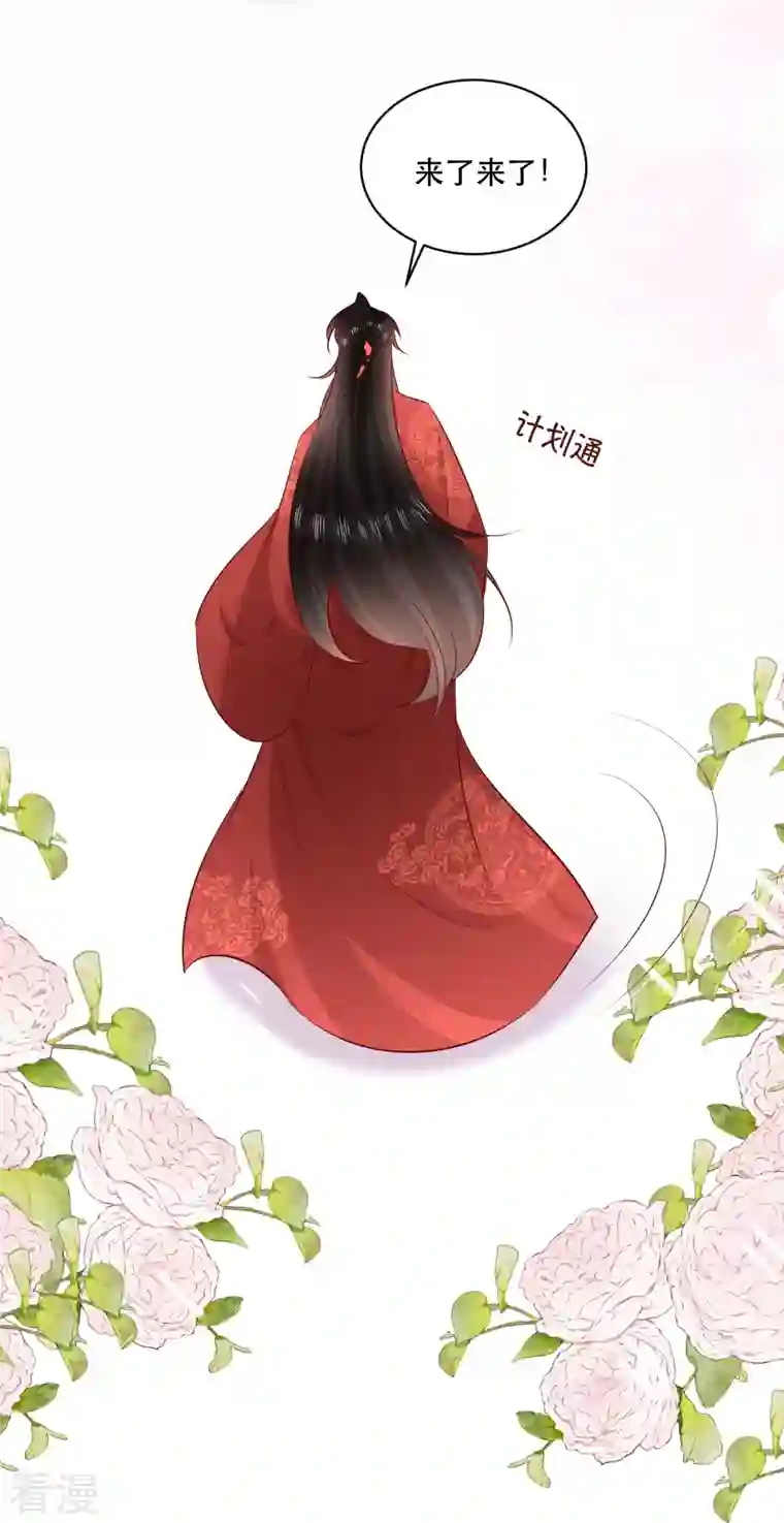 这个王妃路子野特别番外3