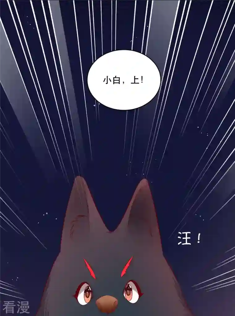 这个王妃路子野特别番外3