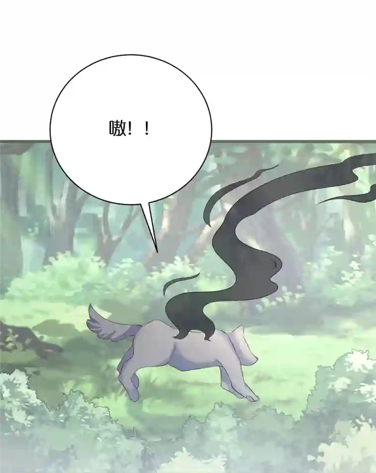 逆天毒妃第295话 养成系圣子
